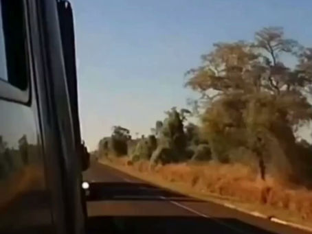 Acidente na BR-163 deixa quatro mortos após colisão entre dois carros