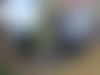 Acidente entre carreta e carro deixa mulher de 44 anos morta em rodovia do Sul de Minas
