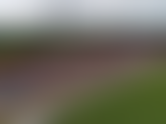 Conselheiros e sócios votam nesta segunda-feira se o Pouso Alegre Futebol Clube vai se tornar SAF