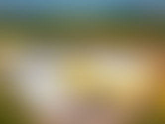 Cimed desiste de nova indústria em Montes Claros para investir em Pouso Alegre