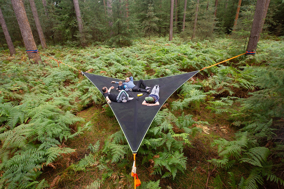 テントサイル トリリウムハンモック XL | キャンプとエコとハッピーと