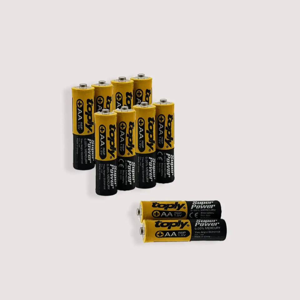 Lot de 10 piles AA 1.5 volt