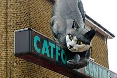 Catford Cat .jpeg