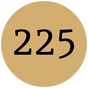 Projeto 225