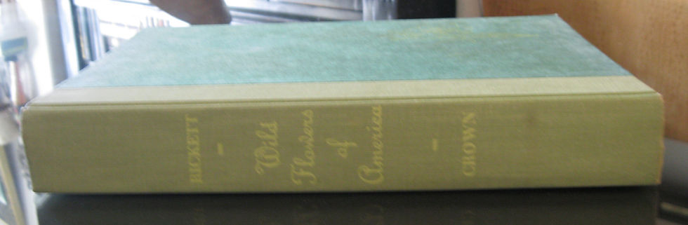 Thumbnail: Wild Flowers of America by H.W. Ricketts