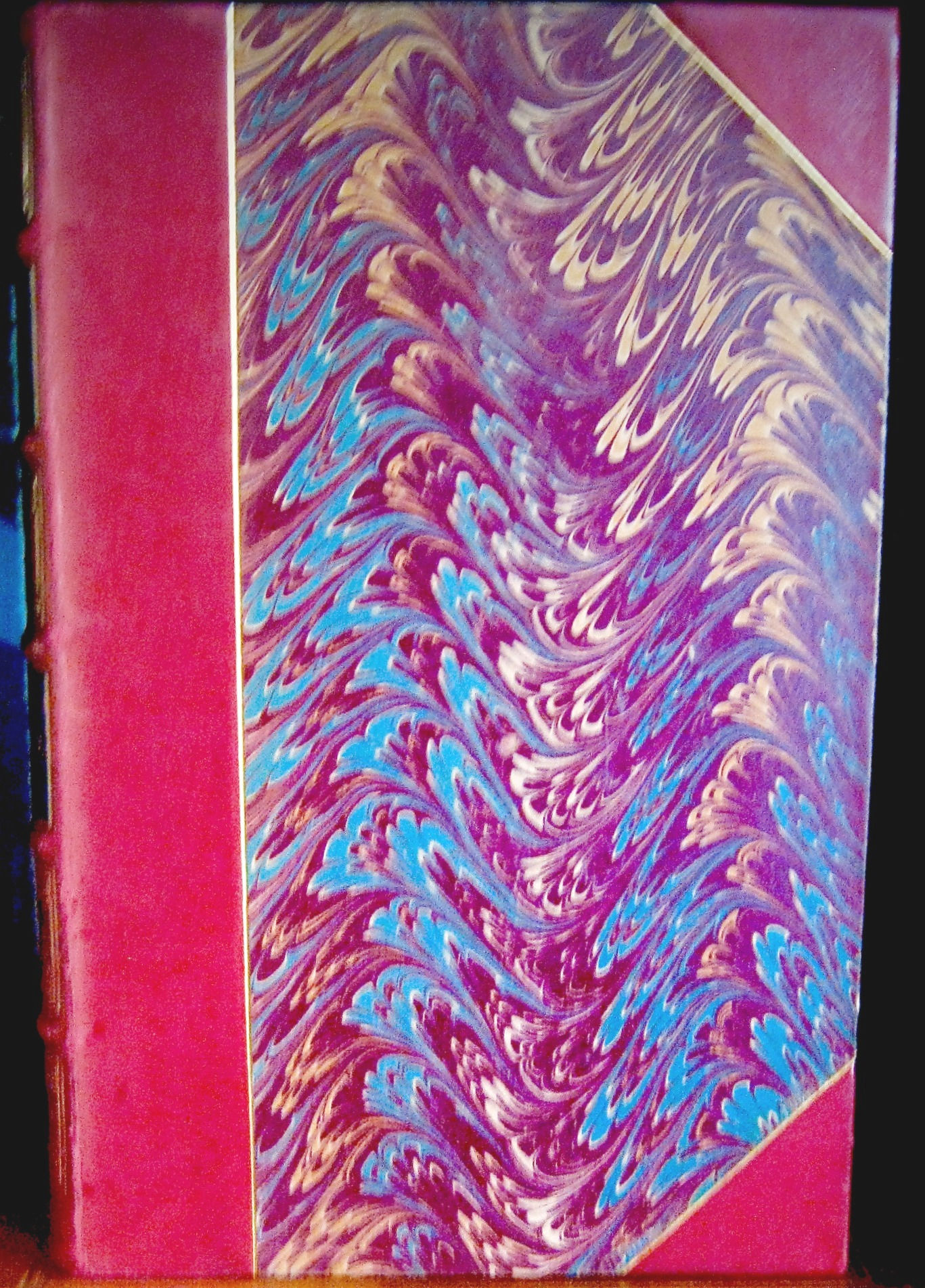 Half bound in red leather with marbled boards, front cover view