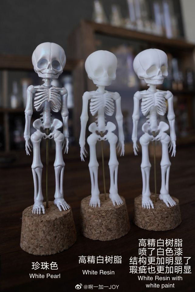 縮圖：Mini Skeleton Specimen by JOY Doll