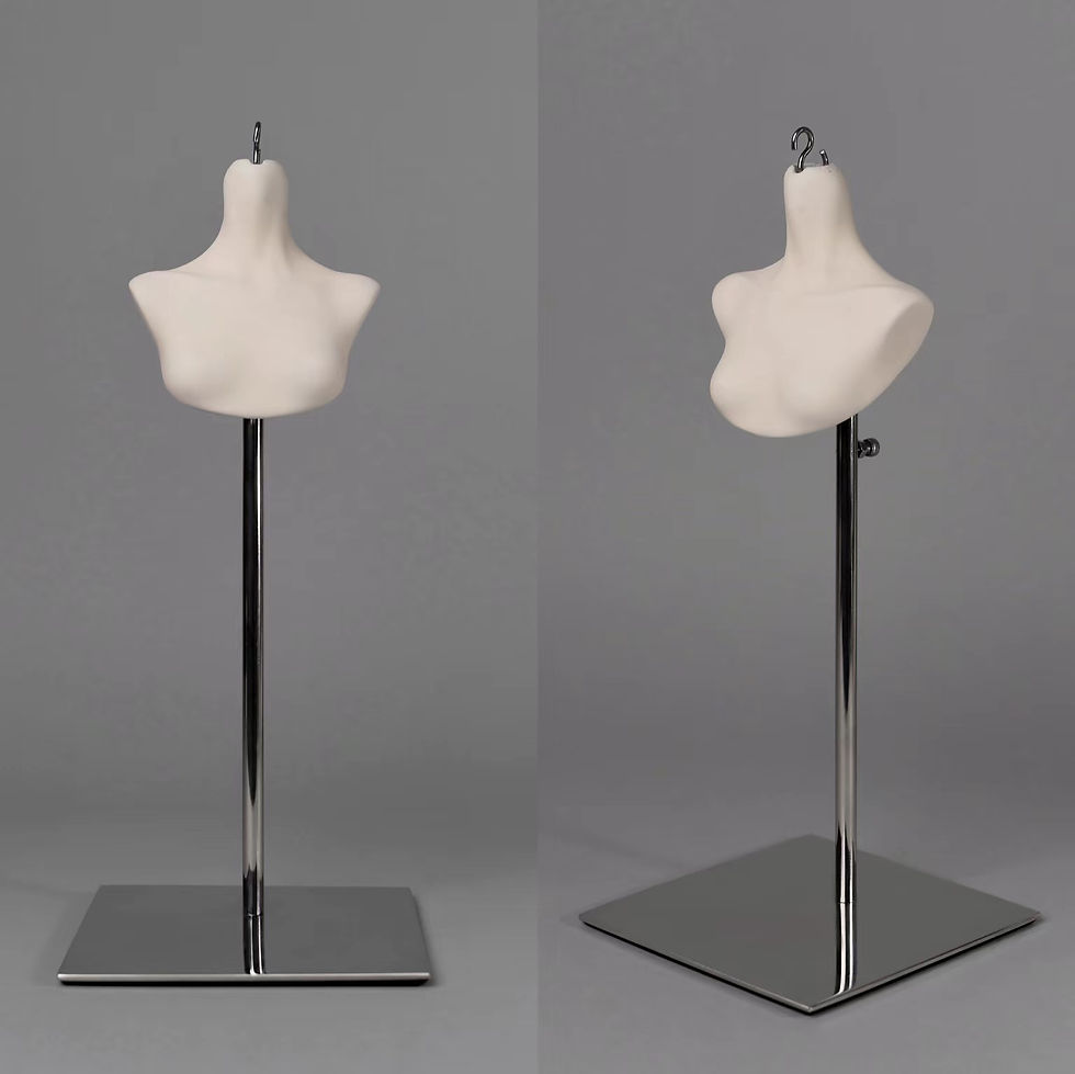 縮圖：Stands and Bust Set (with head) by Fan Studio