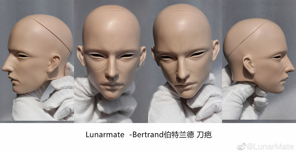 縮圖：Bertrand by LunarMate