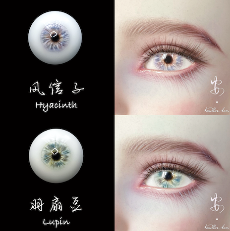 Wandering in Forest Collection