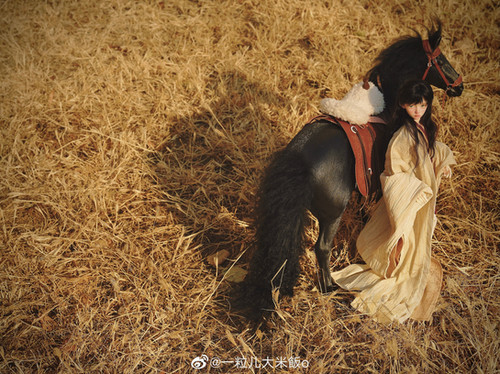 希少　SEMI HOBIX Dutch Warmblood by M.M.J.Z - X - JXK | Moonlight BJD House