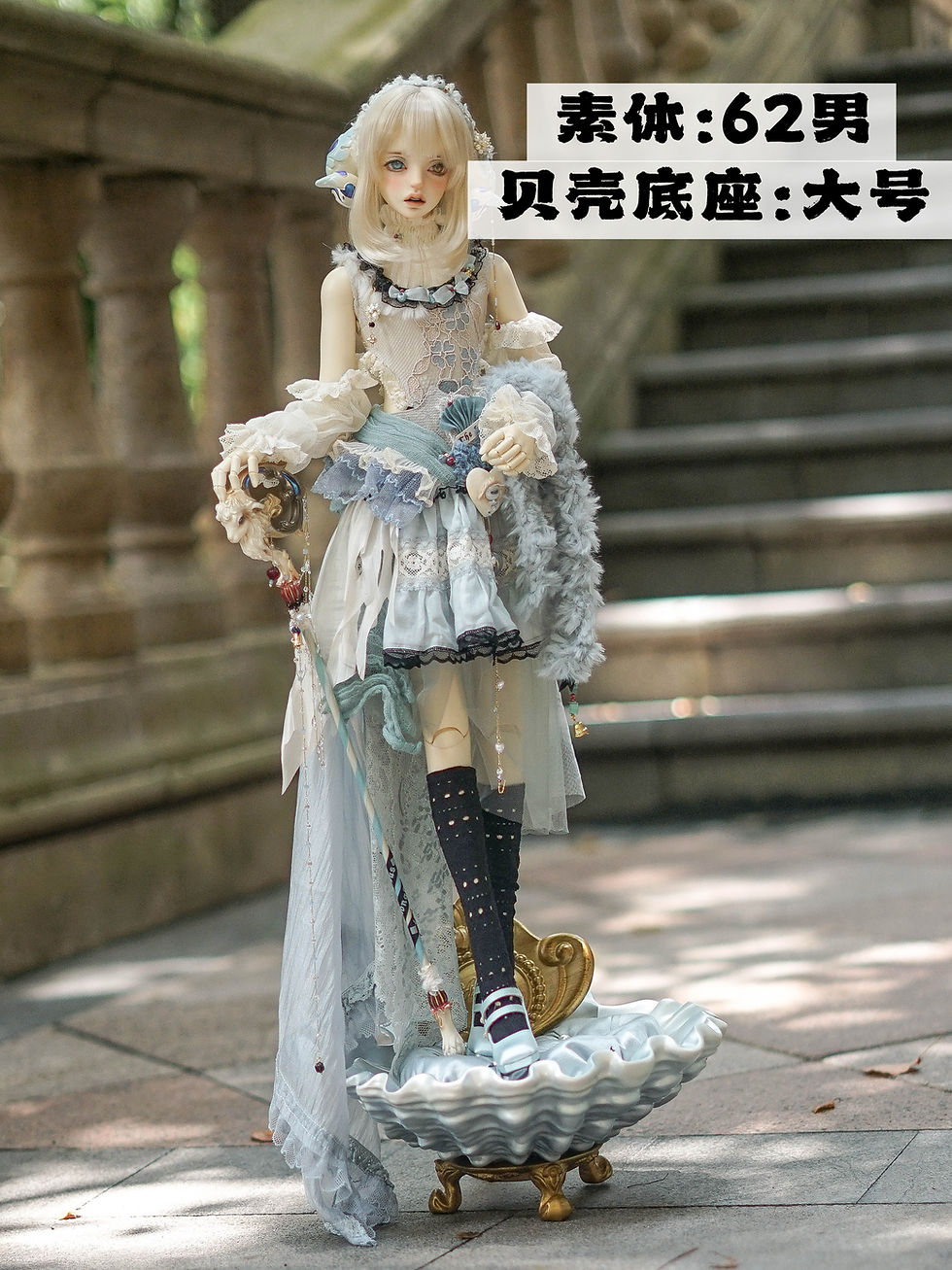 縮圖：Venus Shell (M & L) by Aphasia Land