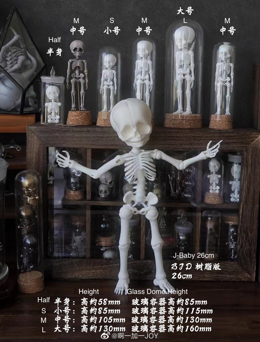 Limited Items - Super cool prop “Mini Skeleton Specimen”！！！ | Den of Angels