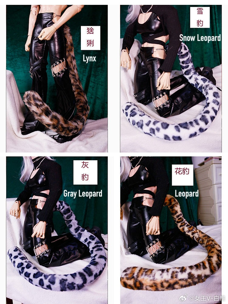 Thumbnail: Wild Animal by QC Studio