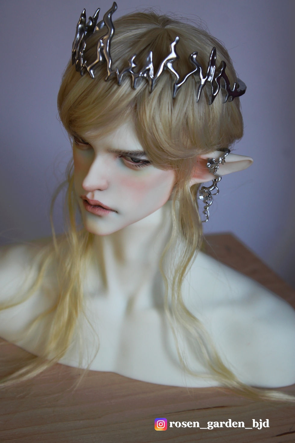 Thumbnail: Erasmus by RosenGardenBJD