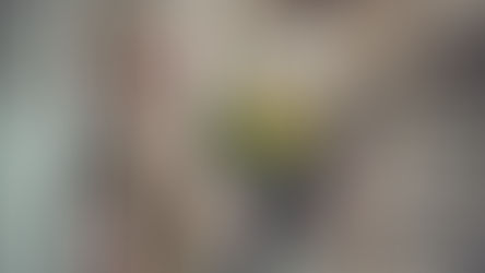 Sustainable Glamour: Achieving the "Gala Glow" Without the Carbon Footprint. Eco-conscious elegance is a mindset.