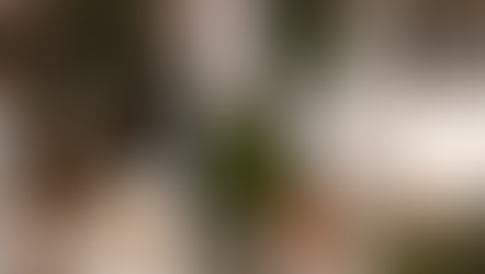 Espumantes para o Ano-Novo: rótulos deliciosos para sua festa