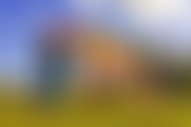 What Positive Reinforcement does for Children