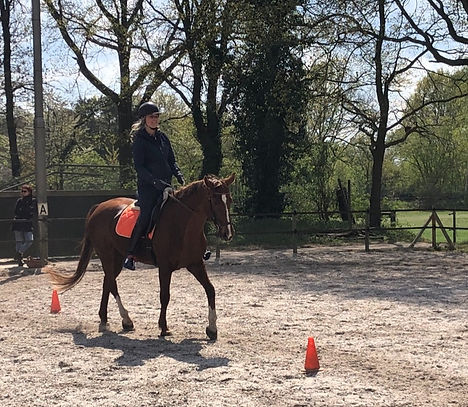 web vally_edited.jpg