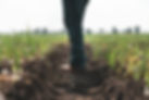 AGRO IMAGEN.jpg