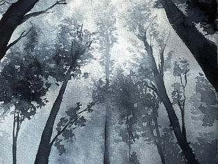 'Outlander'