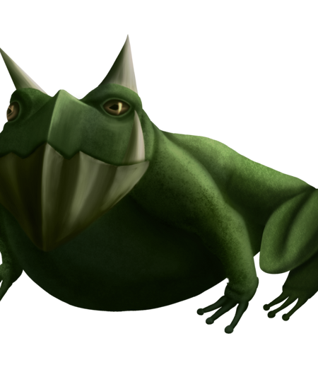 JPak_10222021_FrogCreatureDesign_01 copy.png