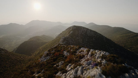 untitled image