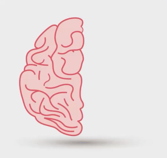 GIF CEREBRO MITAD sin texto.gif
