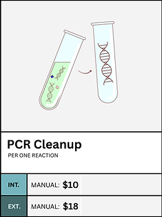 pcrcleanup (1).png
