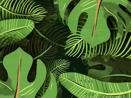 제1회 개념일상동영상 공모전