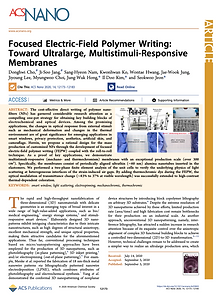 58. Focused Electric-field Polymer Writing: toward Ultralarge, Multi-stimuli-responsive Membranes