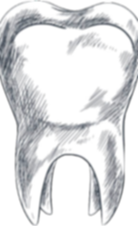 zahnoriginal_edited_edited.png