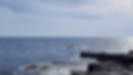 IMG_1794-ezgif.com-optimize.gif