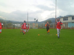 SAM_0404