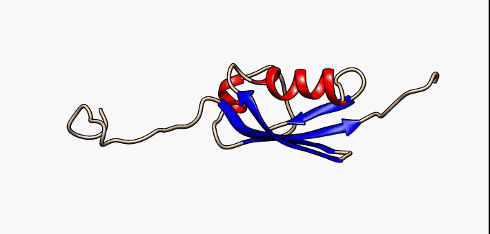 1a5r_SUMO-1_protein.gif