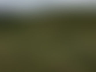 Low Fell 27th May 2019