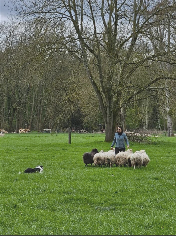 Déroulement d'une séance individuelle