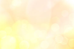 オレンジ黄色ふわふわ