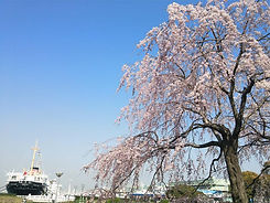活動