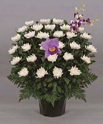 菊供花