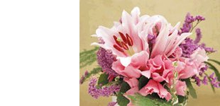 きれいな花