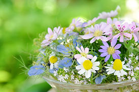 基本理念と目標