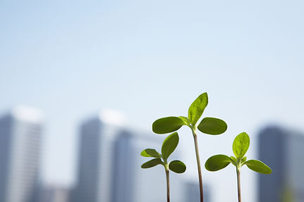 アフターサービス充実