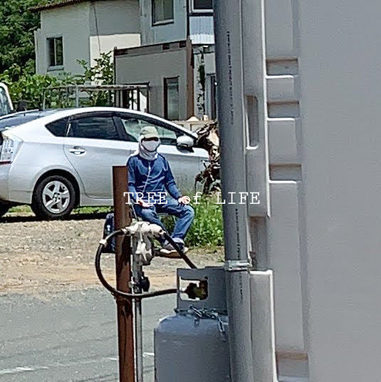 B君頑張りました。
