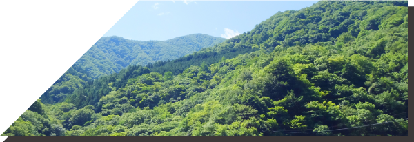 森林管理業様