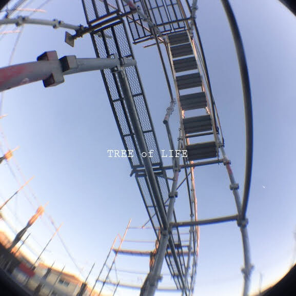 足場の階段を上ります。