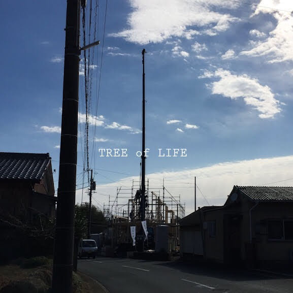 そして、翌日は建て方です!