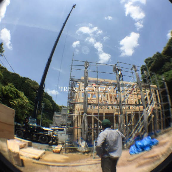 建て方 社長見守り中