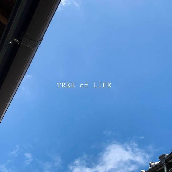 弊社付近 本日の空