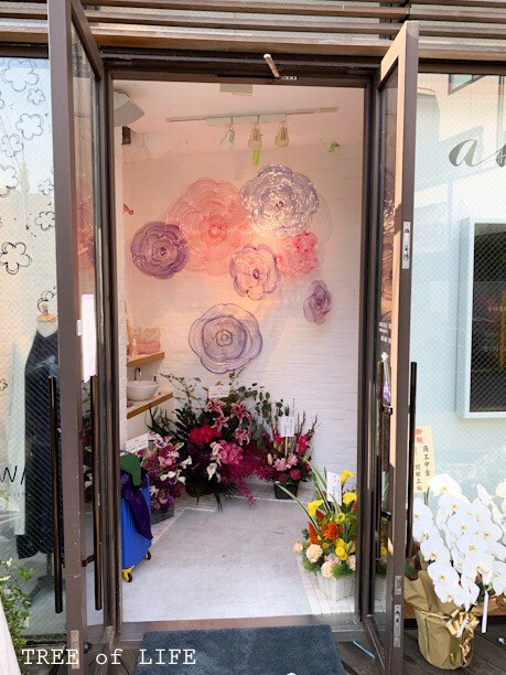 ame 青山店(改装後店舗)